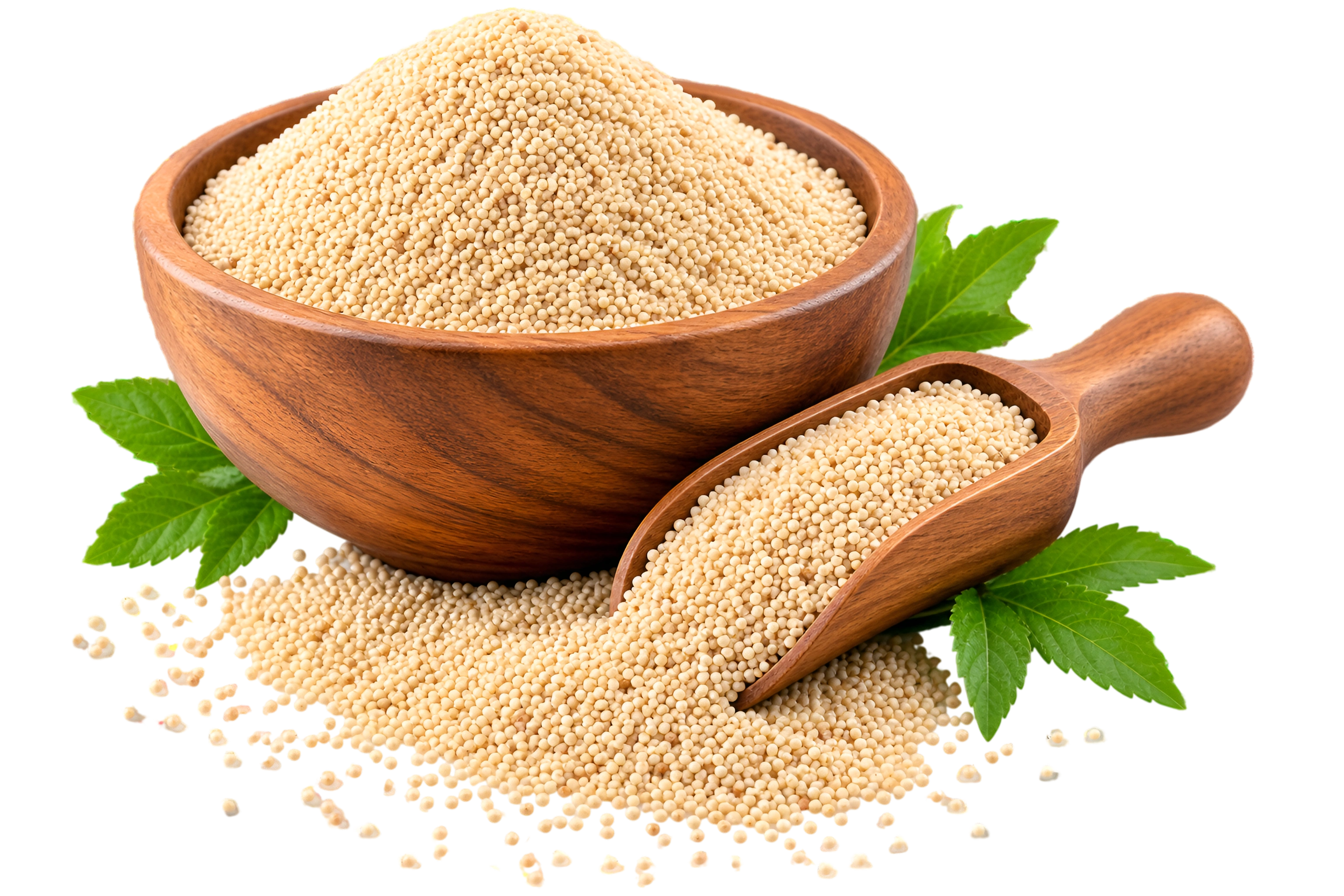 Our poppy seeds